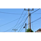 Electricity pole/Telcom pole 8 meters 2