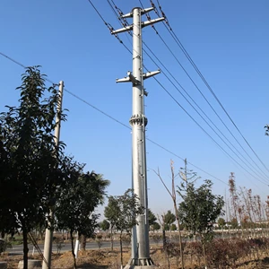 8 Meters Galvanized Straight Steel Electric Pole